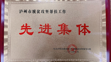 泸州市脱贫攻坚帮扶工作先进集体